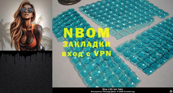 индика Богданович