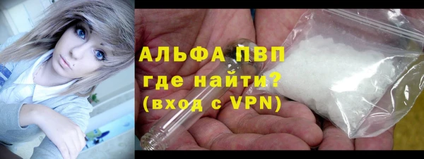 индика Богданович