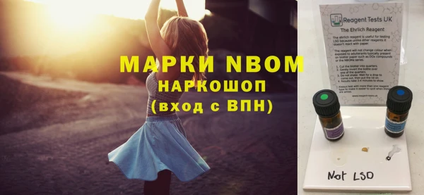 индика Богданович