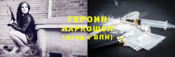 индика Богданович