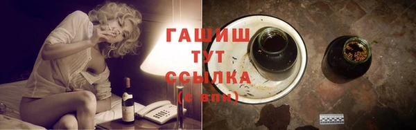 индика Богданович