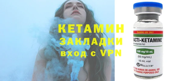 индика Богданович