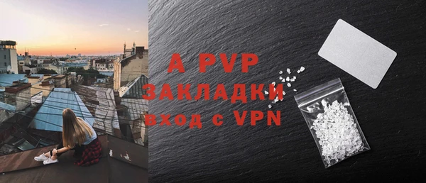 индика Богданович