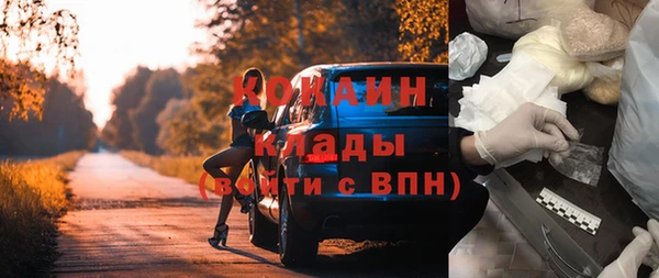 mdpv Богородск