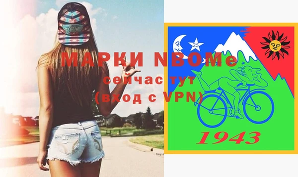 индика Богданович