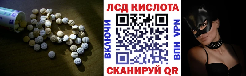 где можно купить наркотик  Вытегра  Лсд 25 экстази ecstasy 